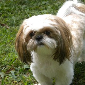 Meet your Posher, Gail